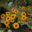 학산1리마을회관 이미지