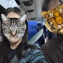 원조하루밥상 주식회사 | [비에이투어] 삿포로 비에이 투어 추천, 일일 버스투어(준페이 후기 포함)