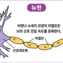 헤라음악학원 이미지