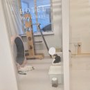 정이캣 | 대전 고양이 호텔 ~ 고양이 만을 위한 공간 "페르시안캣" 캣호텔링 ~
