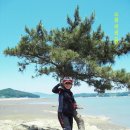 모도 - 창원시 마산합포구 | 모도