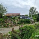 숲속 짱구네 이미지