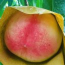 내고향전주식당 이미지