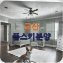 교산집 | 교산 폼스키분양 서른 살의 가장 따뜻한 결정