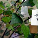 양지컨설팅 - 시흥시 서울대학로 59-21 | 양지컨설팅