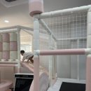 포 웨스트A 이미지