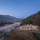 건축사사무소길온건축 - 평택시 고덕중앙로 322 | 온건축 건축가 정웅식 - 가장 아름다운 벗꽃길 숙소<벽•선•들>