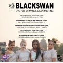 블랙스완 카카오 검색결과