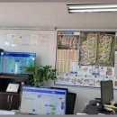 롯데캐슬한빛최고공인중개사사무소 이미지