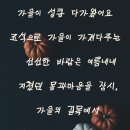 가을을 신고 이미지