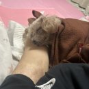 뽀그리멍 이미지