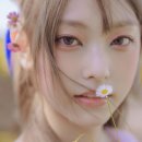 다오커피