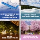 (주)드래곤관광 이미지