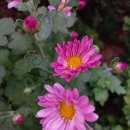 깜헤어샵 이미지