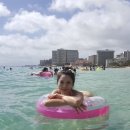 훌라댄스 이미지