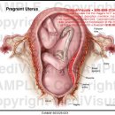 올리브한의원 이미지