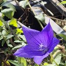 10월30일 목요일 창원방 출석부 전생에 나라를 구했나 봅니다 이미지