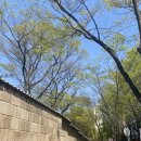 좋은고침한의원 네이버블로그