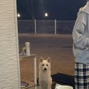 스테이한가로이두번째