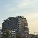 인터플레이스 이미지