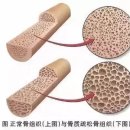 (주)뉴메코 | 소분자 펩타이드 질병에 따른 처방