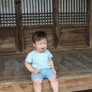 연천학곡리고인돌 이미지