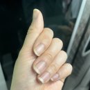 쏭네일 - 여수시 | 쌍문역네일 기본에 충실한 깔끔한 젤네일, 쏭네일 후기