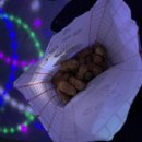 은어송로 77번길 이미지