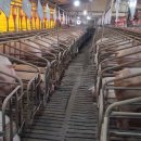 제언농장 이미지