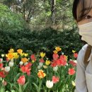 하이얀미용실 네이버블로그