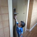 포레스트 12 자연휴양림 이미지