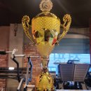 레볼루션 짐 이미지