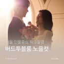버드투블룸, 서울 인물 중심 웨딩스튜디오 촬영 후기-노을컷