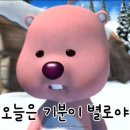 D00798 | 젯스타 환불 방법 및 카드 취소 소요기간 (Feat, 시드니 항공권)