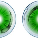 효성안경원 이미지