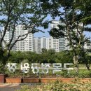 정관 구목정공원 | 부산 기장 정관신도시 구목정공원 : 방문 후기와 개인적인 생각 등등,,💫