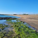 서쪽사계 이미지