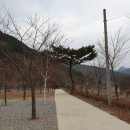 방태산솔마루오토캠핑장 이미지