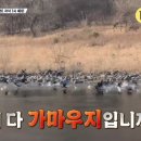 임상균농장 네이버블로그
