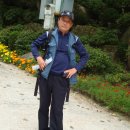 치악산자연휴양림 이미지