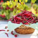 바른선바디랩한의원 이미지