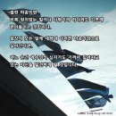 가-44 이미지