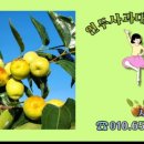 세중농장 이미지