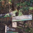 수정4동초소 이미지