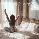 로타리세탁소 | 제주 서귀포 호텔 케니스테이 제주 서귀포 가성비좋은곳에서경험한여행후기