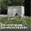 피노 | 아이 사진 찍기 좋은 카페, 천안 태학산 피노카페 솔직 후기