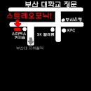스테레오포닉