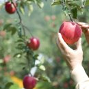 송천농장 이미지