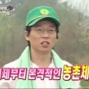 양심농장 이미지