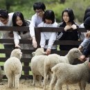 심경목장 이미지